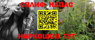стаф Будённовск