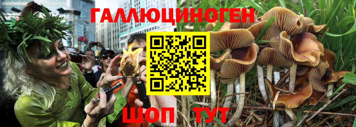 Галлюциногенные грибы мицелий  Вход с VPN  Строитель  Псилоцибиновые грибы MAGIC MUSHROOMS 