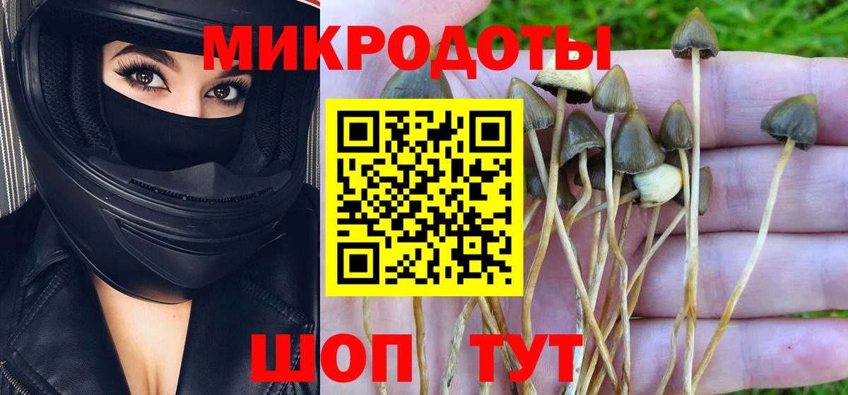 Псилоцибиновые грибы GOLDEN TEACHER Строитель